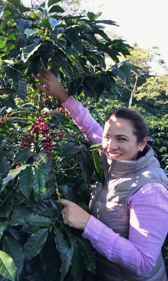 فندق Roots Casa Rustica Valle Hornito المظهر الخارجي الصورة